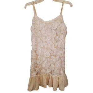 Vici Lace Embroidered Flounce Mini Dress